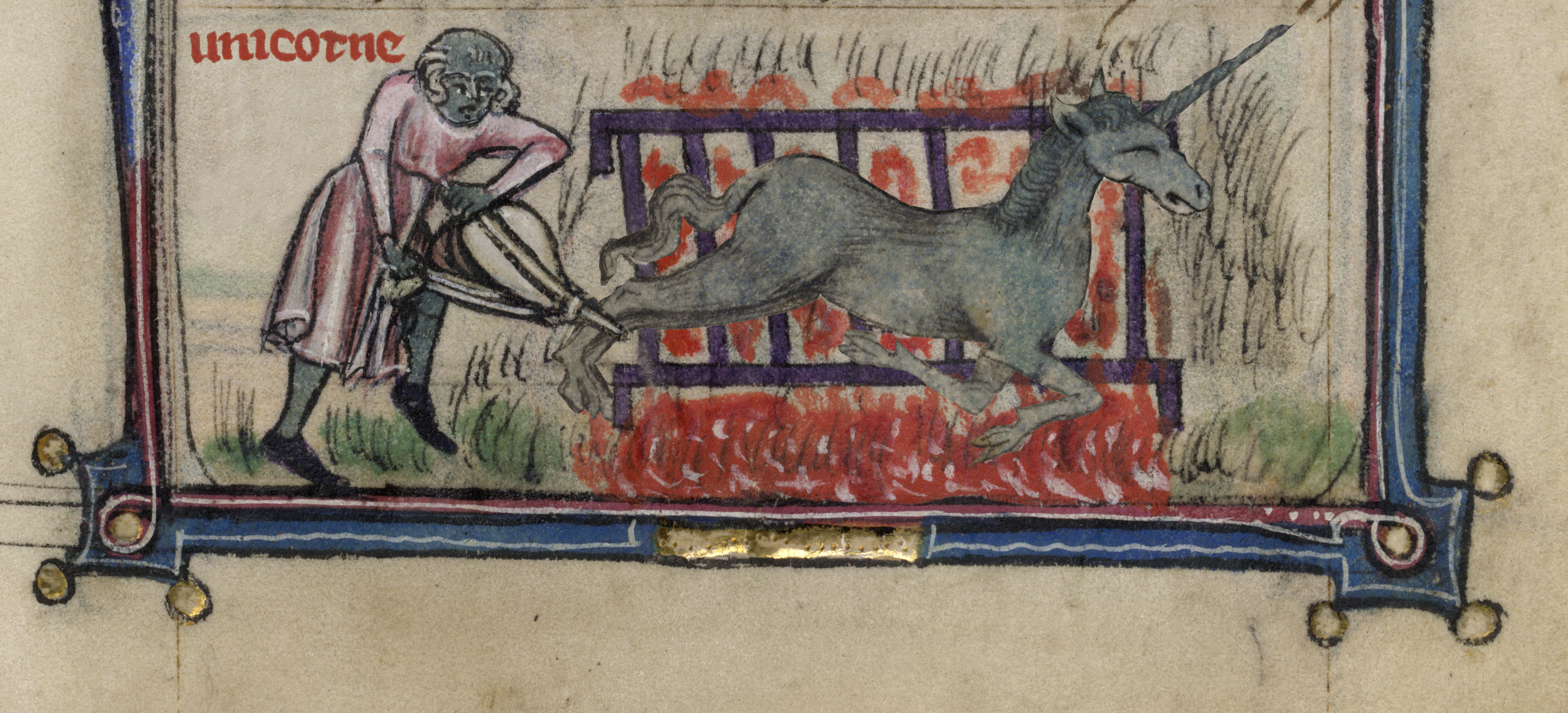 Unicorns Medieval Manuscript