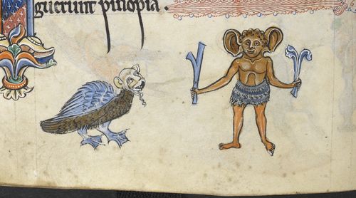 Bildresultat för medieval monstrous races