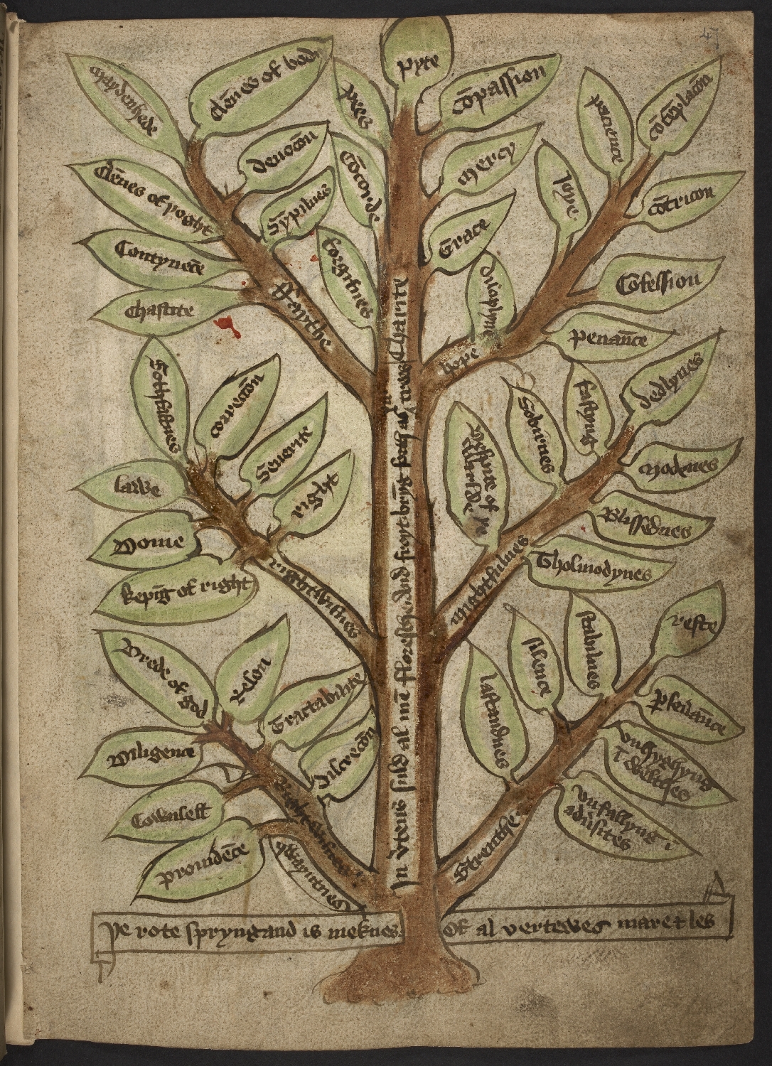 Tree Diagram Of Different Courses After 10th Image 