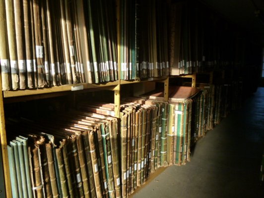 Shelving at Colindale Shelving at Colindale