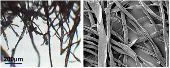 Wood and rag fibre comparison Wood and rag fibre comparison