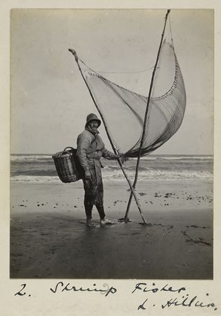 Shrimp Fisher (British Library)