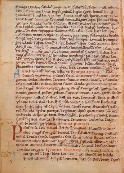 Vesp A XIV, f. 8v C7561-01