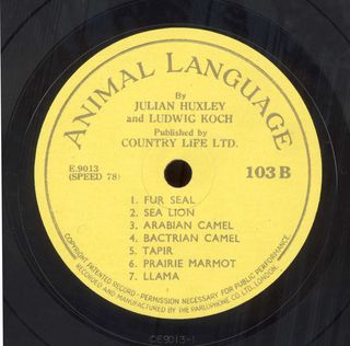 Animal Language