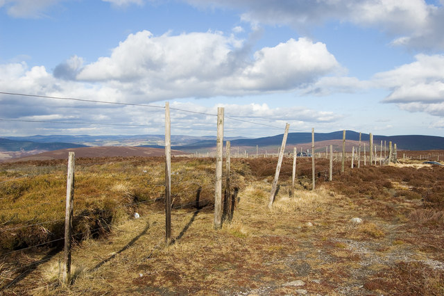 Deer fence scotland