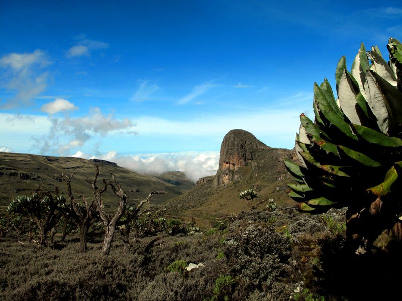 Mount_Elgon-2