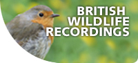 British-wildlife-recordings
