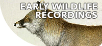 Early-wildlife-recordings