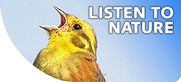 Listen-to-nature