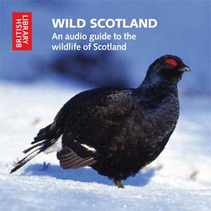 Wild scotland