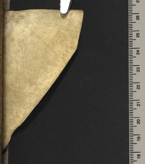 Guess_the_manuscript_iv_1