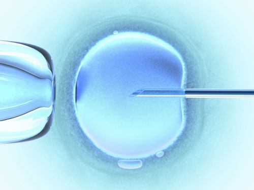 Artificial Insemina#265CDFA