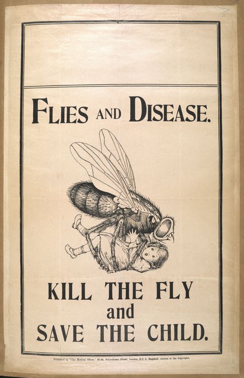 Kill-the-fly