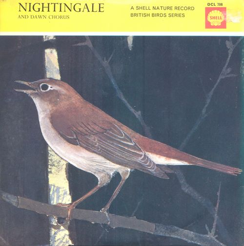 Nightingale-and-Dawn-Chorus