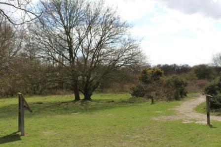 Tiptree Heath