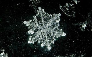 02-Snowflakes