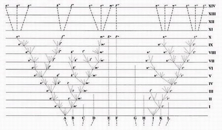 Darwins_tree_of_life_1859