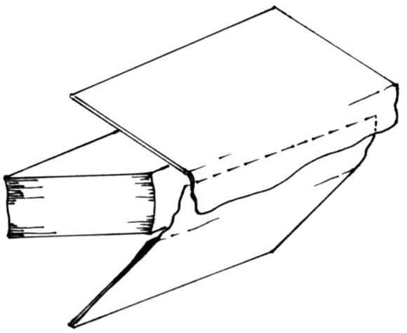 Overlapping spine Overlapping spine
