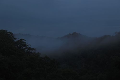 Royal National Park Valley_Jeremy Hegge