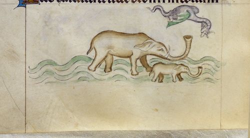 Royal MS 2 B VII f. 118v G70035-41a Royal MS 2 B VII f. 118v G70035-41a