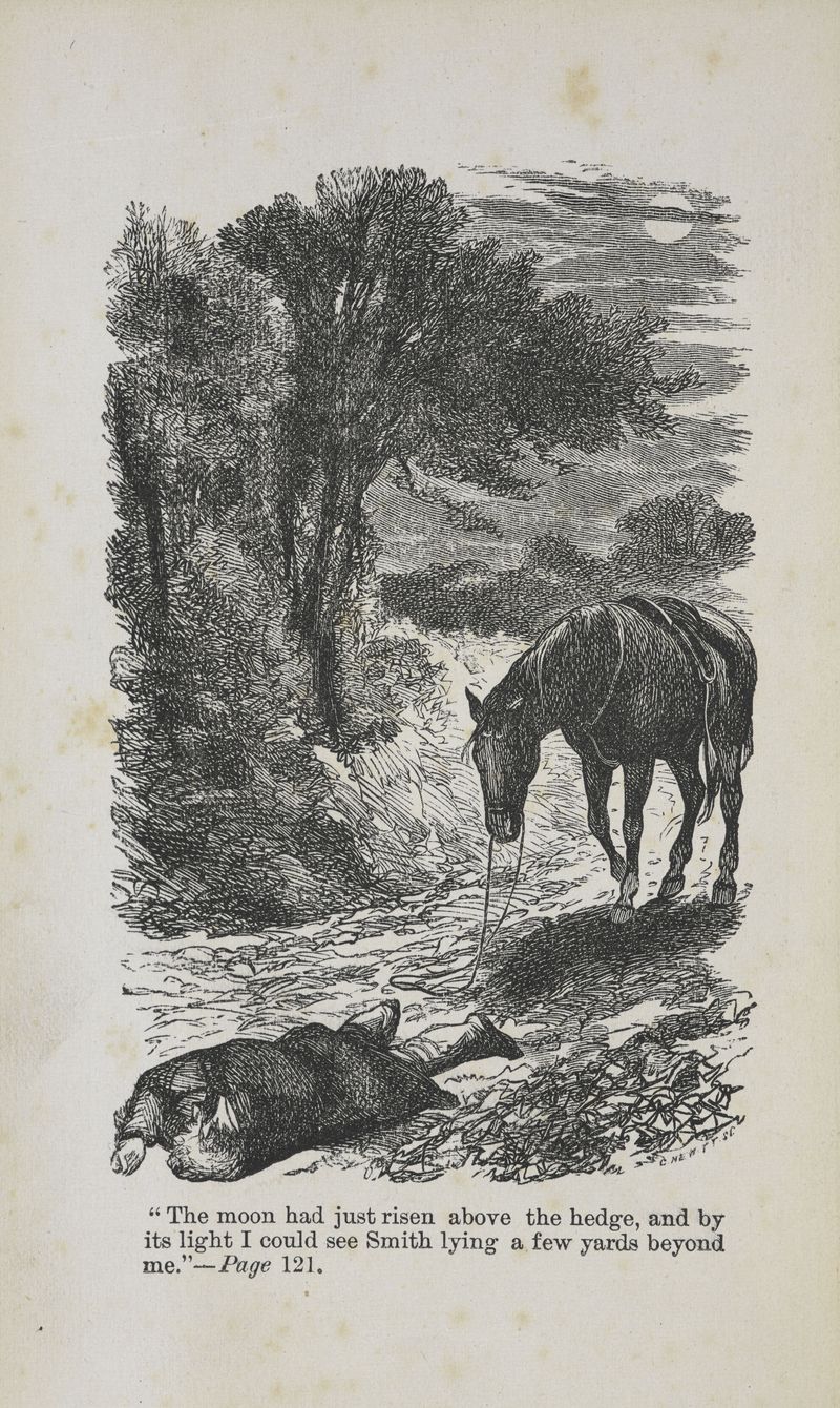Illustration-1877-anna-sewell-black-beauty