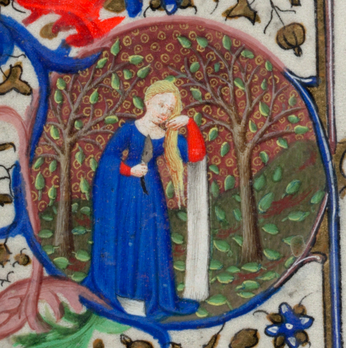 Medieval manuscripts blog: December 2016