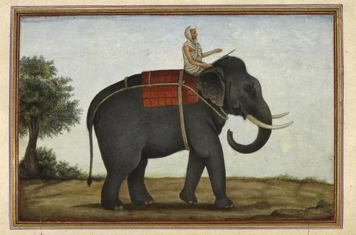 Elephant & mahout