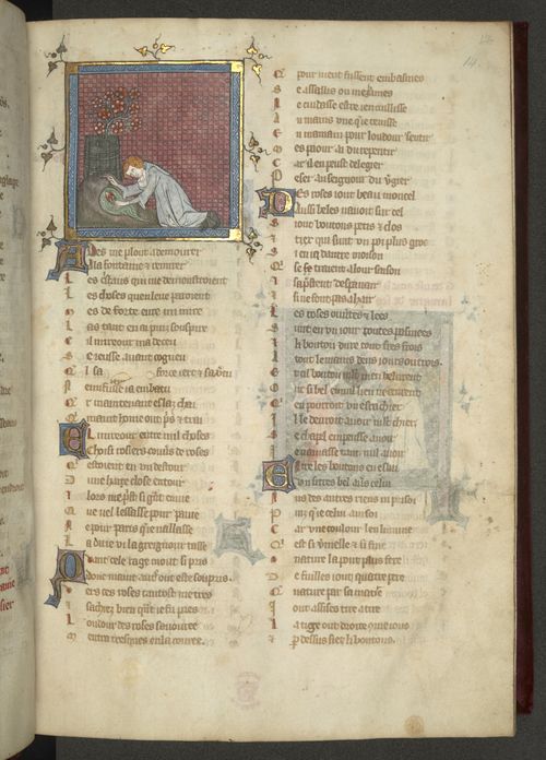 Everything's Coming Up (Roman de la) Roses - Medieval manuscripts blog