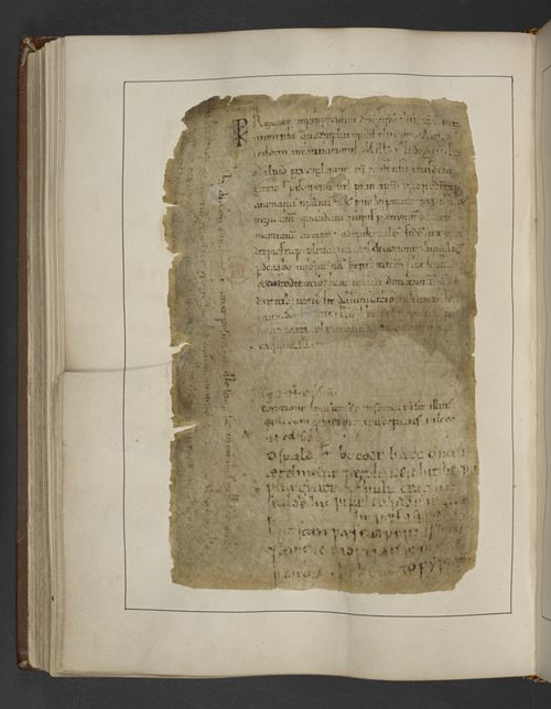 Cotton_ms_tiberius_a_xiii_f118v