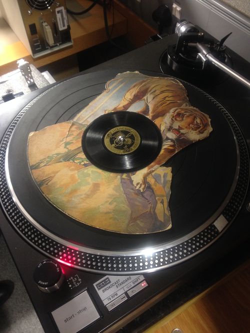 Tiger on turntable